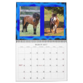 Ketterman's Lil Pondarosa Mini kalender (Mar 2027)