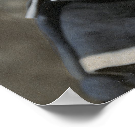 Ketting van Bone, chef 1899 van de Raad Poster (Hoek)