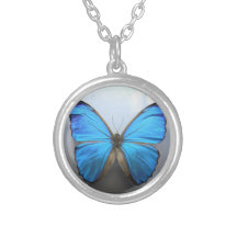 Ketting van vlinder