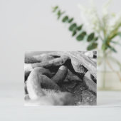 Kettingen Briefkaart (Staand voorkant)