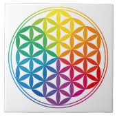 Kettingraster voor levenscyclus tegeltje (Voorkant)