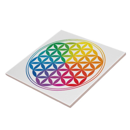 Kettingraster voor levenscyclus tegeltje (Zijkant)