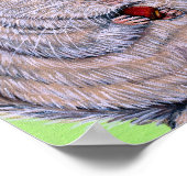 Keuffer Nibbling Chinchilla Painting Poster (Hoek)