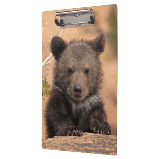 Keuk Beer Klembord (Links)