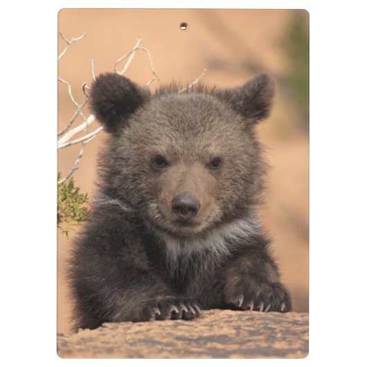 Keuk Beer Klembord (Achterkant)