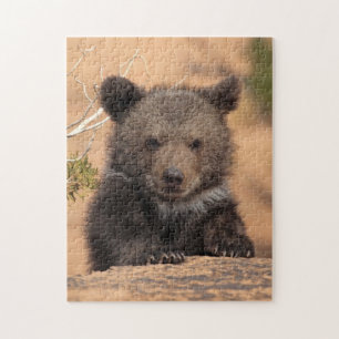 Keuk Beer Legpuzzel