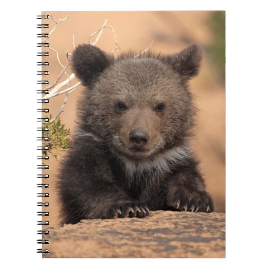 Keuk Beer Notitieboek (Voorkant)
