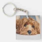 Keuk Dog Acrylische Sleutelhanger (Voorkant)