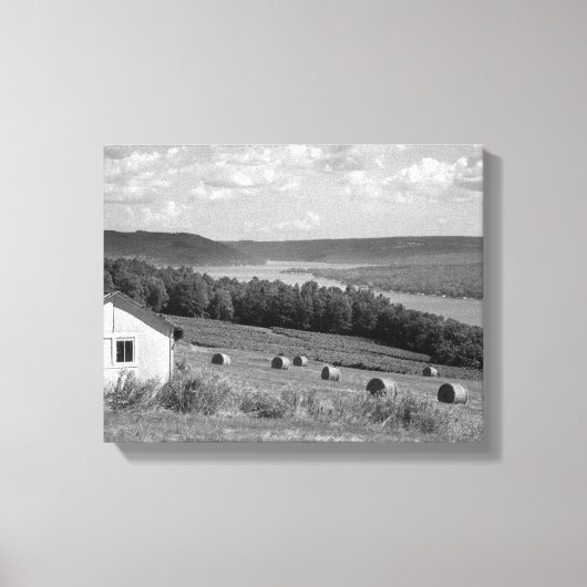 Keuka Lake Finger Lakes Ingewikkeld Canvas 14x11 Afdruk (Voorkant)