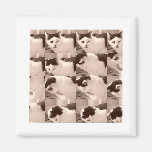 keukat/zwart/witte foto magneet (Voorkant)