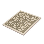 Keuken achterkant tegel, tan en crème tegeltje (Zijkant)