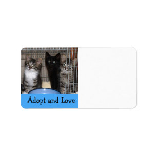 Keuken adopteren en het etiket van het Liefde