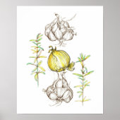 Keuken Art Onions Garlic Rosemary Herb Drawing Poster (Voorkant)