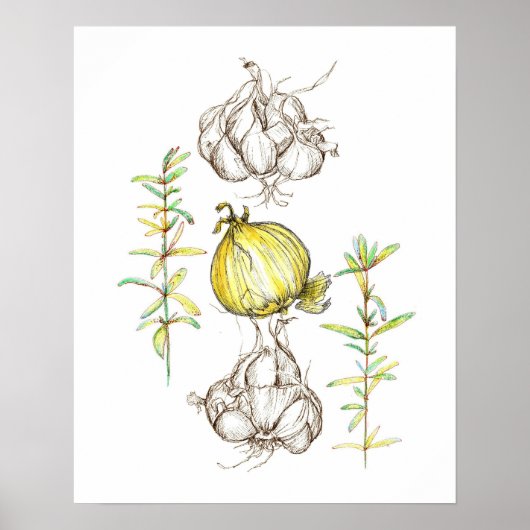 Keuken Art Onions Garlic Rosemary Herb Drawing Poster (Voorkant)