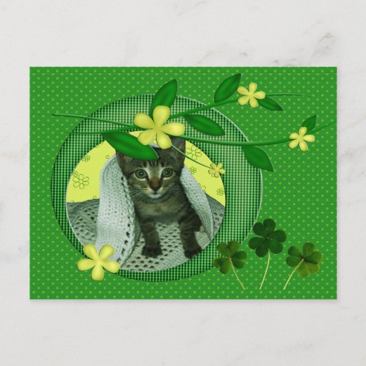 Keuken, bloemen, shamrocks en groene pokadots briefkaart (Voorkant)