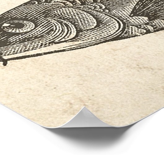 Keuken Decor Wall Art  Carp Koi Fish Poster (Hoek)