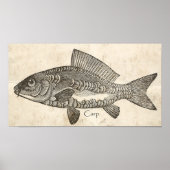 Keuken Decor Wall Art  Carp Koi Fish Poster (Voorkant)