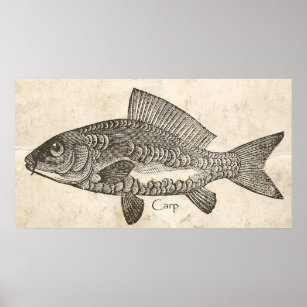 Keuken Decor Wall Art  Carp Koi Fish Poster