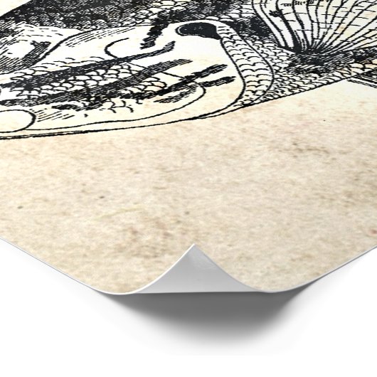 Keuken Decor Wall Art vismodder Poster (Hoek)