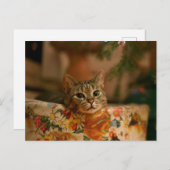 Keuken die achter de kerstboom zitten briefkaart (Voorkant / Achterkant)