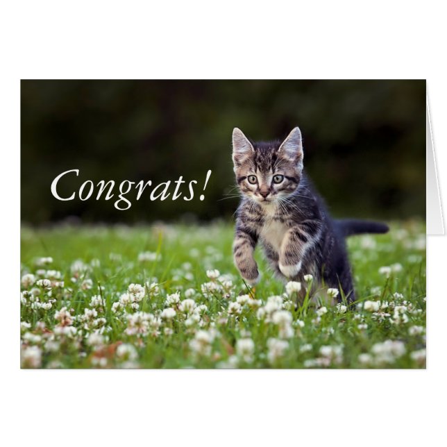 Keuken die door klaver lopen (Voorkant Horizontaal)