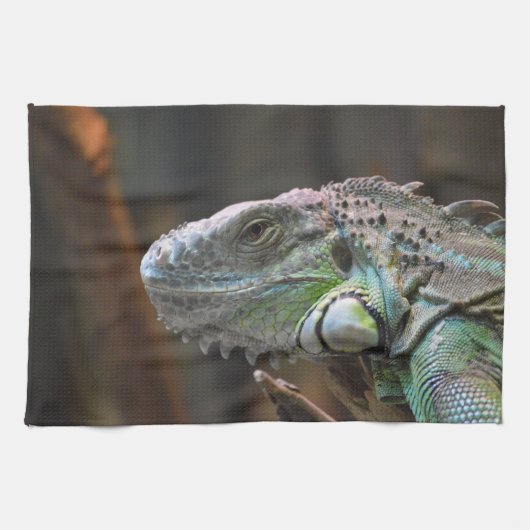 Keuken handdoek met hoofd van kleurrijke Iguana ha (Horizontaal)