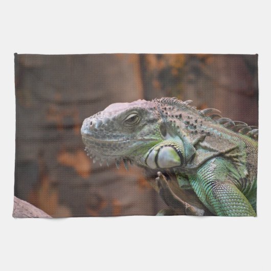 Keuken handdoek met kleurrijke Iguana hagedis (Horizontaal)