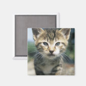 Keuken in de openlucht magneet (Voorkant / Achterkant)