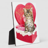 Keuken in de Snoepjes doos Fotoplaat (Zijkant)