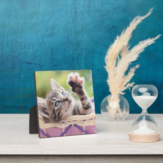 Keuken in een mand fotoplaat (Insitu)