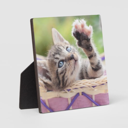 Keuken in een mand fotoplaat (Voorkant)