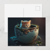 Keuken in een melkthee - Kat Briefkaart (Voorkant / Achterkant)