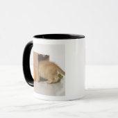 Keuken in kruidenierszak mok (Voorkant links)