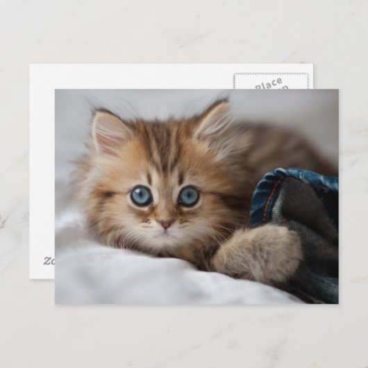 Keuken met blauwe ogen briefkaart (Voorkant / Achterkant)