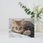 Keuken met blauwe ogen briefkaart (Staand voorkant)