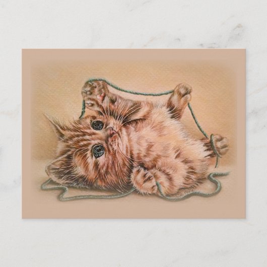 Keuken met een Yarn-tekening, kattenkunst-illustra Briefkaart (Voorkant)