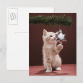 Keuken met kerstversiering op bomen feestdagenkaart (Voorkant / Achterkant)