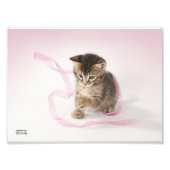 Keuken met lint foto afdruk (Voorkant)