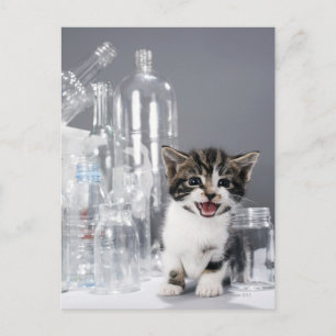 Keuken onder gerecycleerde flessen en potten briefkaart