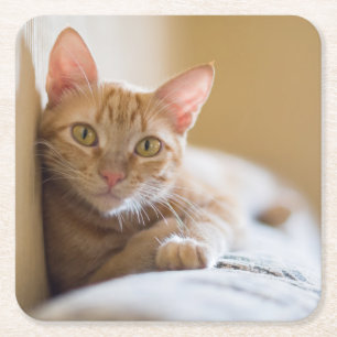 Keuken op de bank kartonnen onderzetters