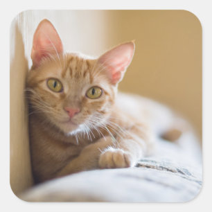 Keuken op de bank vierkante sticker