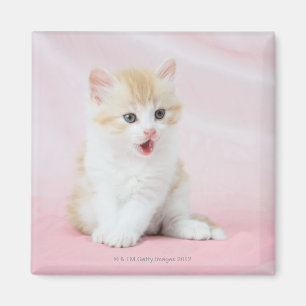 Keuken op roze achtergrond magneet