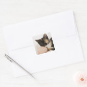Keuken over kogels vierkante sticker (Envelop)