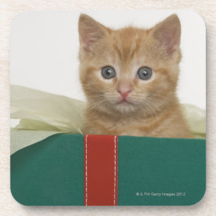 Keuken pieken uit cadeaudoos onderzetter