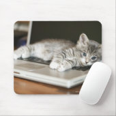 Keuken rusten op laptopcomputer muismat (Met muis)