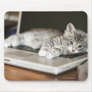 Keuken rusten op laptopcomputer muismat