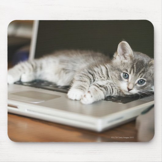 Keuken rusten op laptopcomputer muismat (Voorkant)