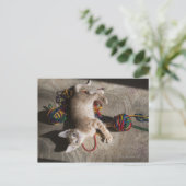 Keuken spelen met garen briefkaart (Staand voorkant)