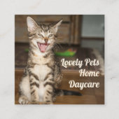 Keukenbont Visitekaartjes van de Sitter Square (Voorkant)