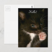 Keukenbriefkaart Briefkaart (Voorkant / Achterkant)